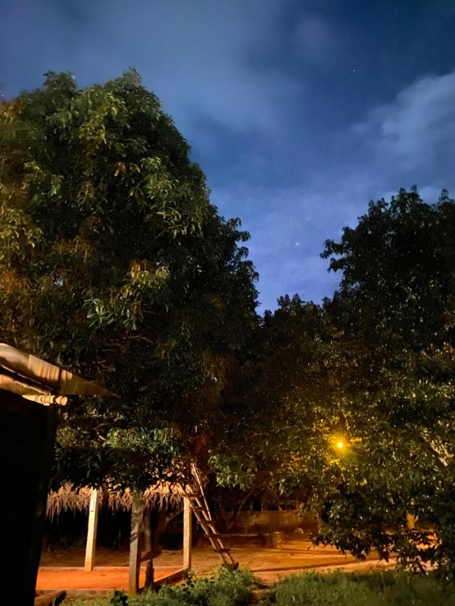 Art Forest 蓬蒂切里 外观 照片